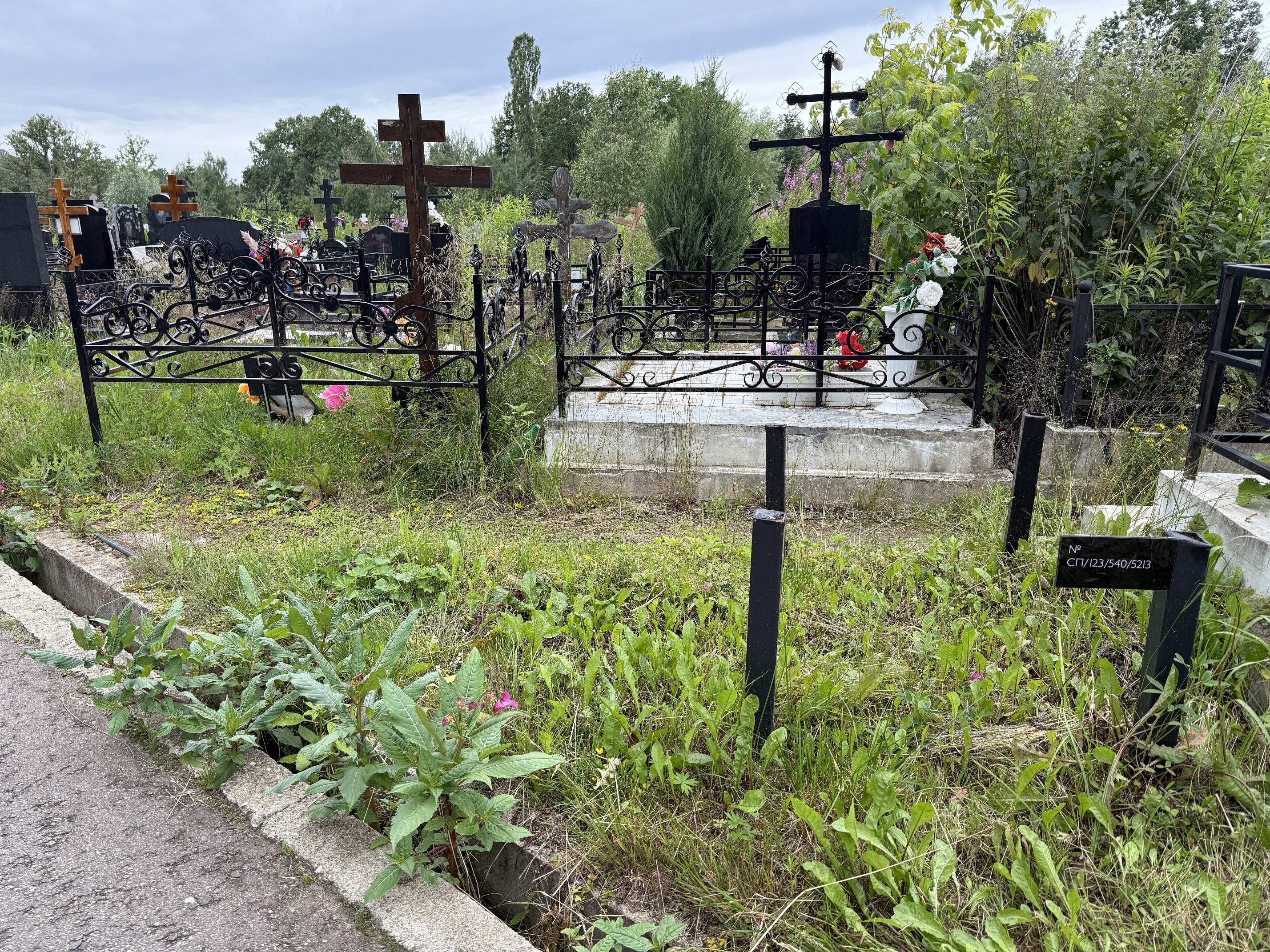 Левое фото участка