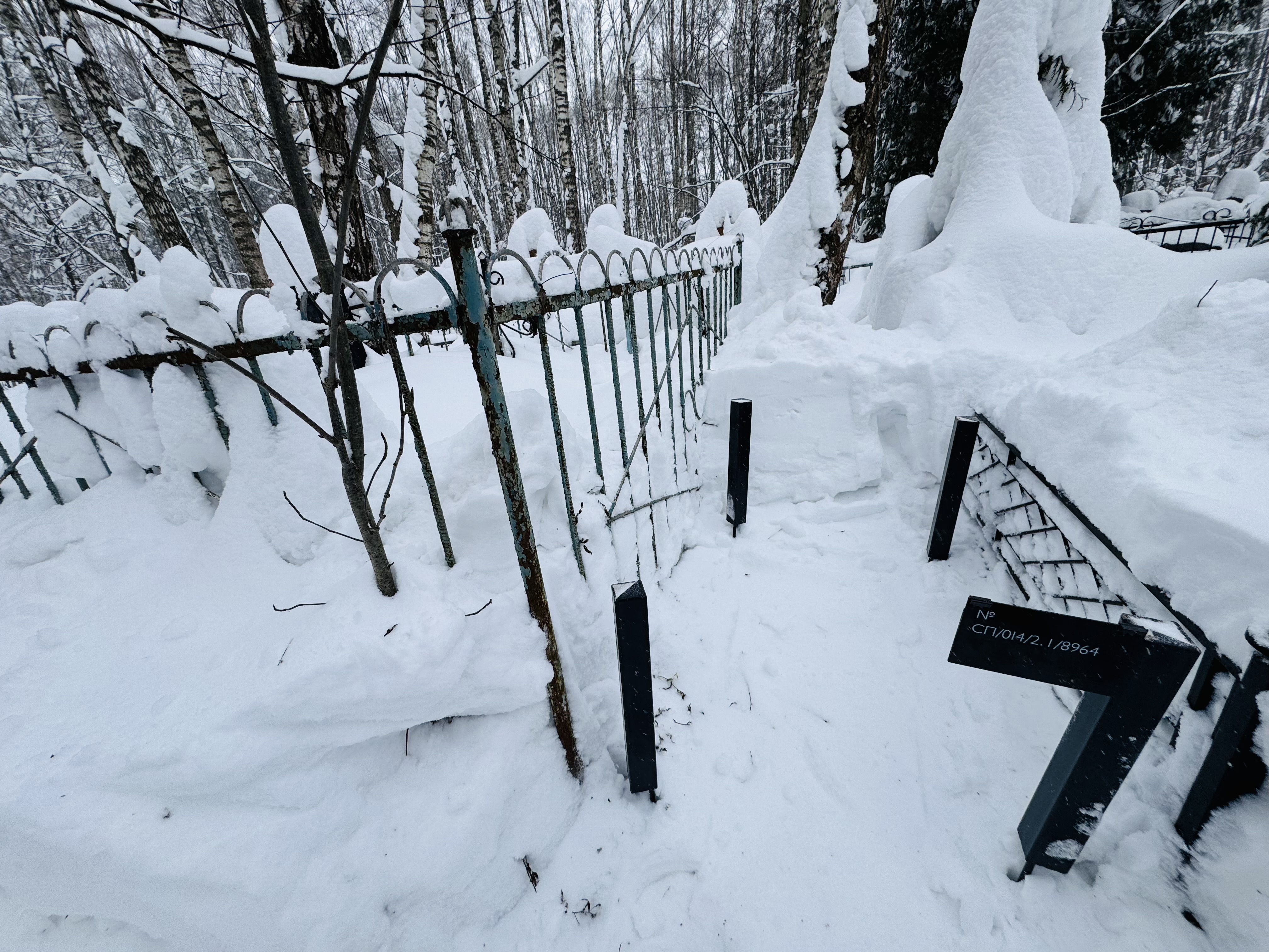 Левое фото участка