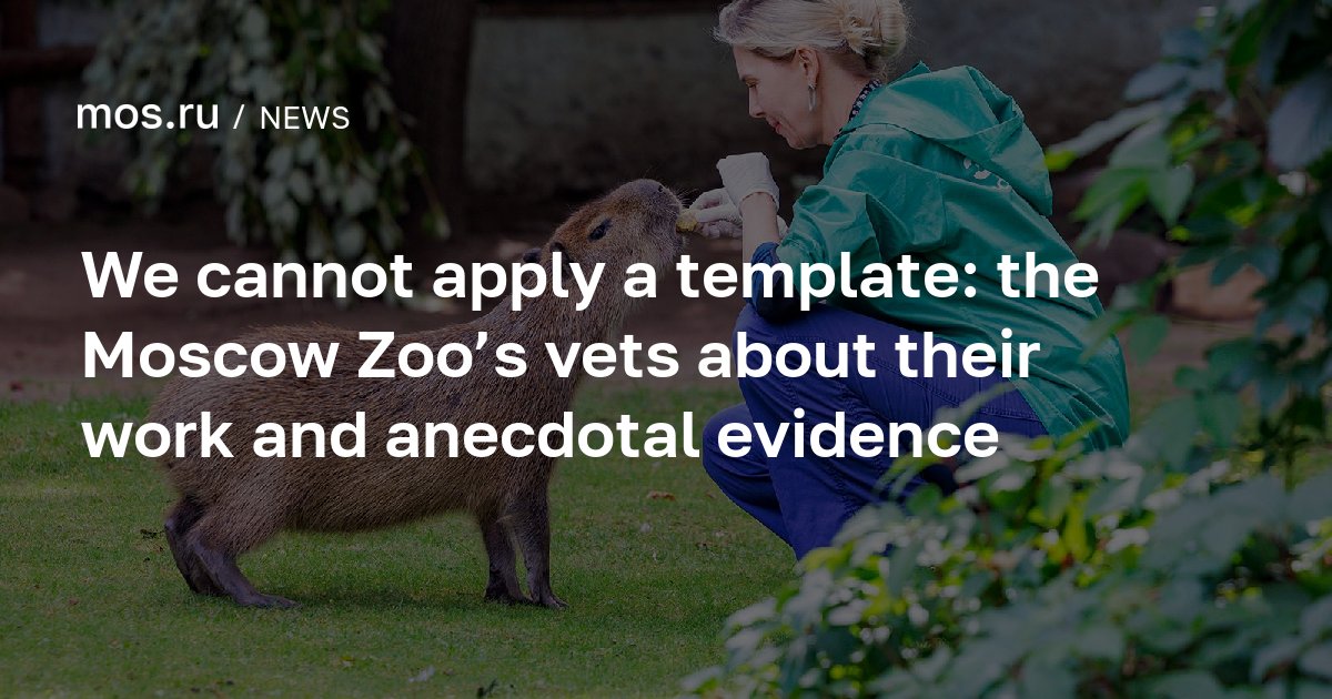 We cannot apply a template: the Moscow Zoo’s vets about their work and ...