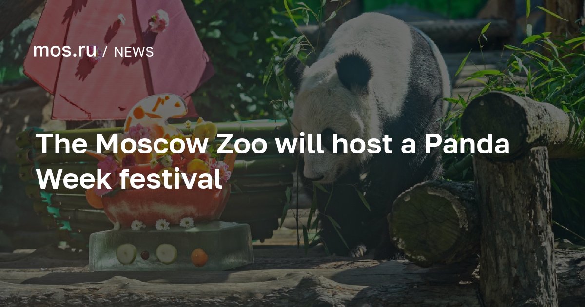 The Moscow Zoo will host a Panda Week festival / News / Moscow City Web ...