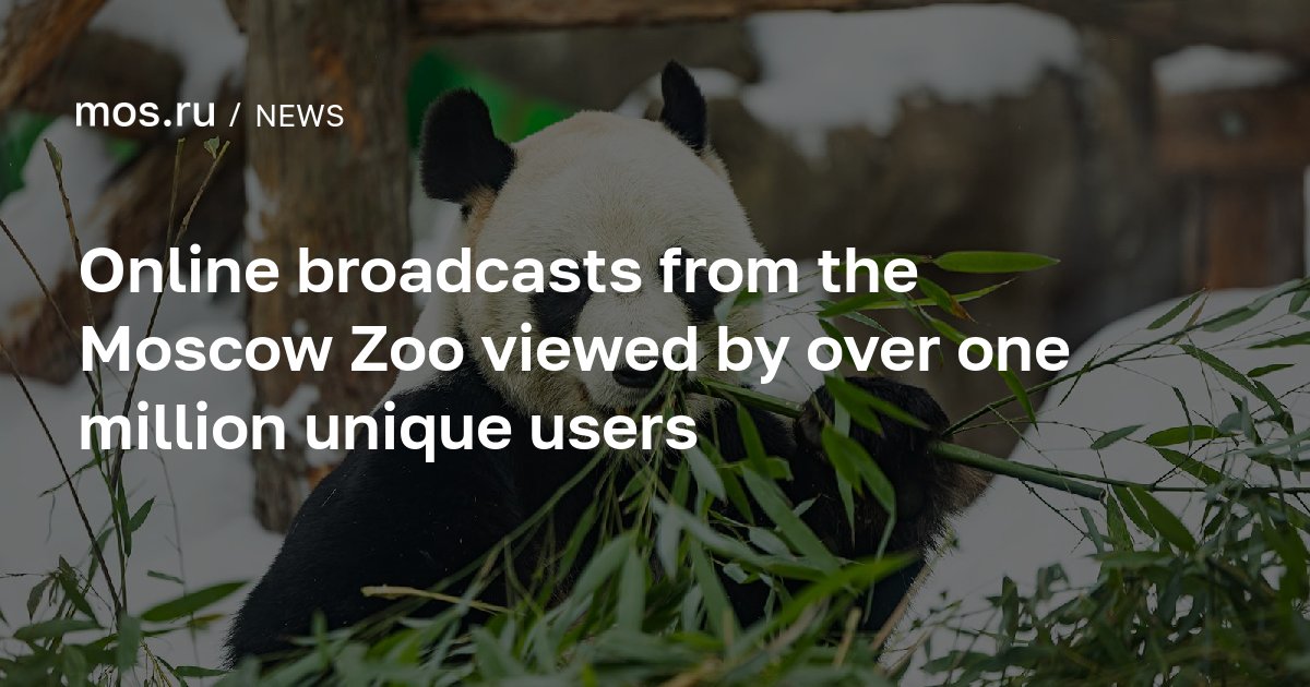 Online broadcasts from the Moscow Zoo viewed by over one million unique ...