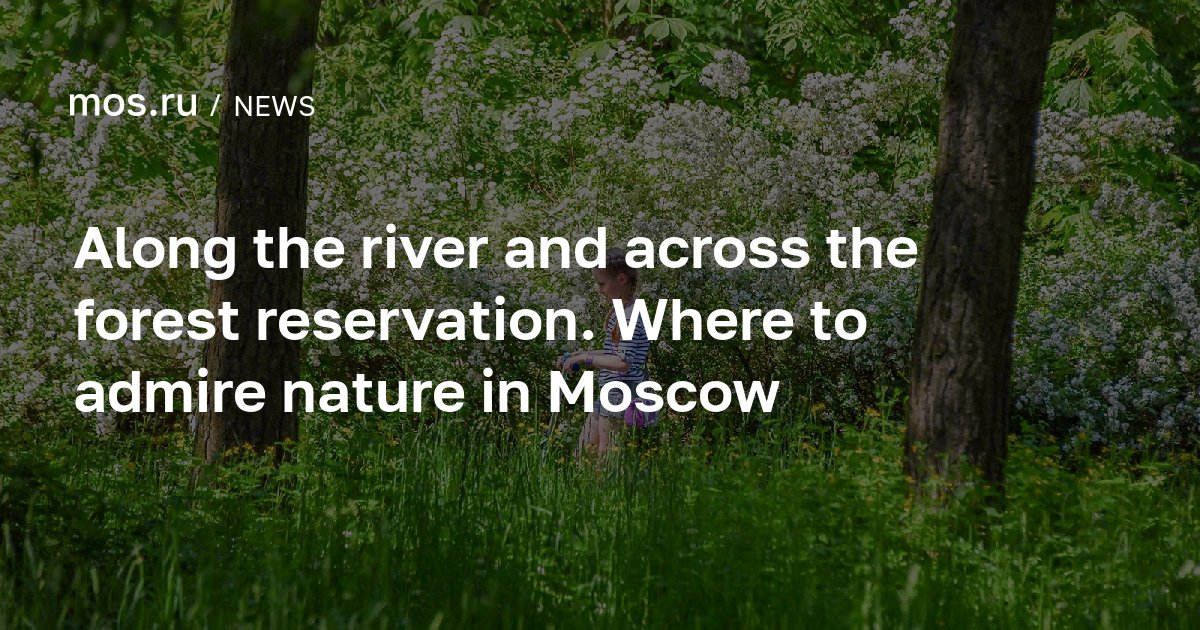 Along the river and across the forest reservation. Where to admire ...