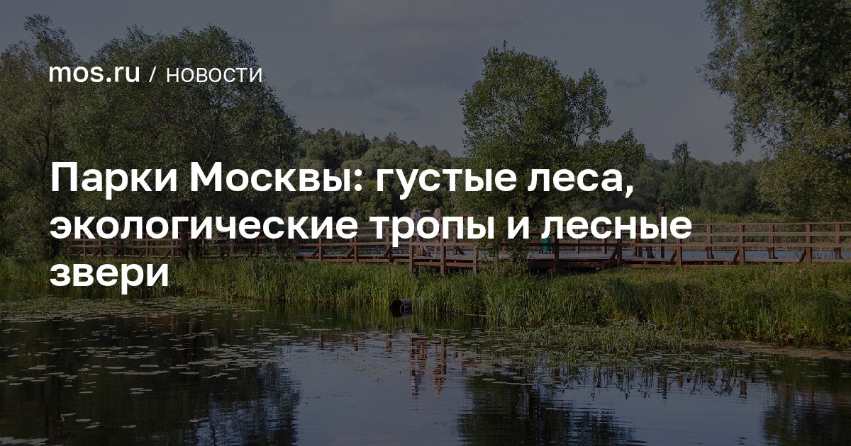 www.mos.ru