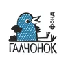 Логотип Фонд «ГАЛЧОНОК»