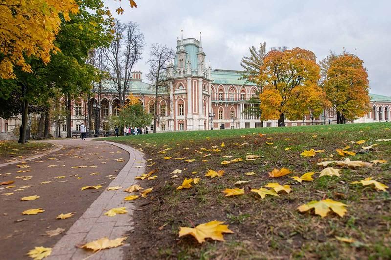 «Король бакланов», «Чудомобиль» и «Самсон»