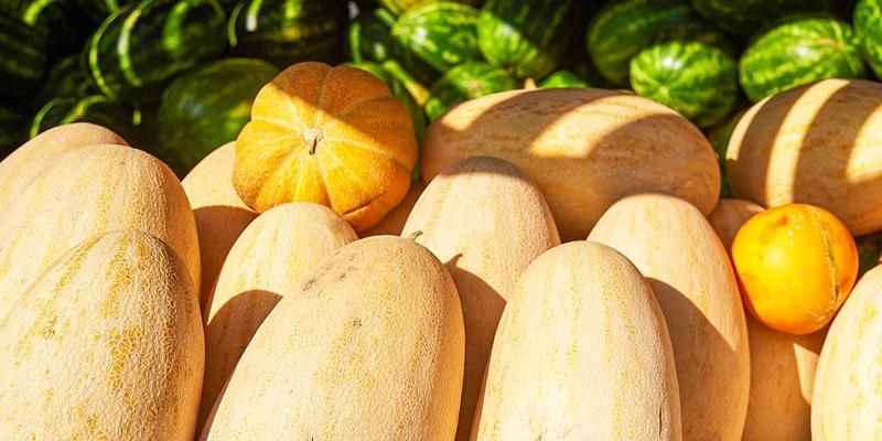 Как выбрать вкусные дыни и арбузы на ярмарках выходного дня