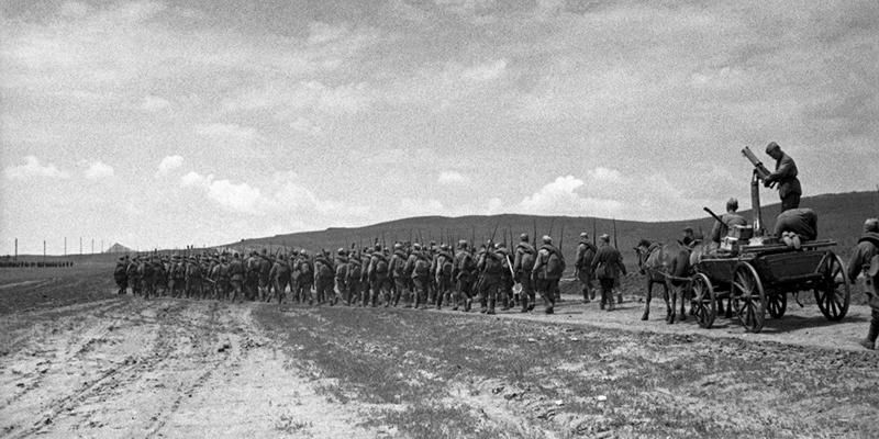 80 лет Победы: Главархив открыл онлайн-фотовыставку «На фронтах Великой Отечественной войны»