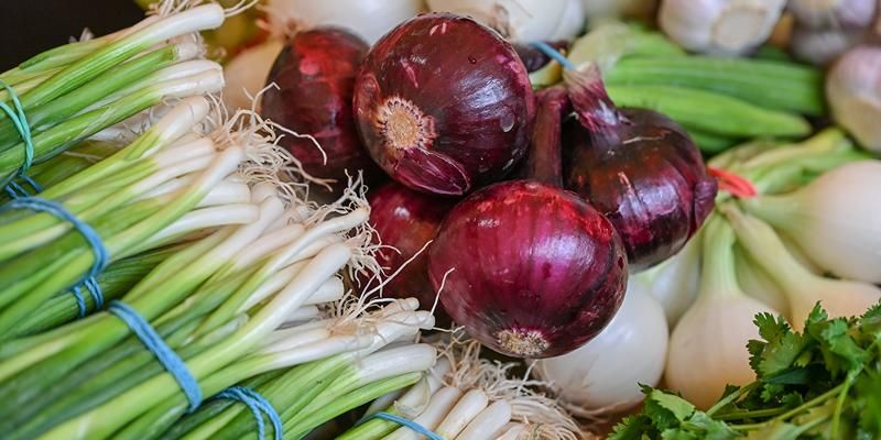 На московских ярмарках фермеры предлагают лук на любой вкус