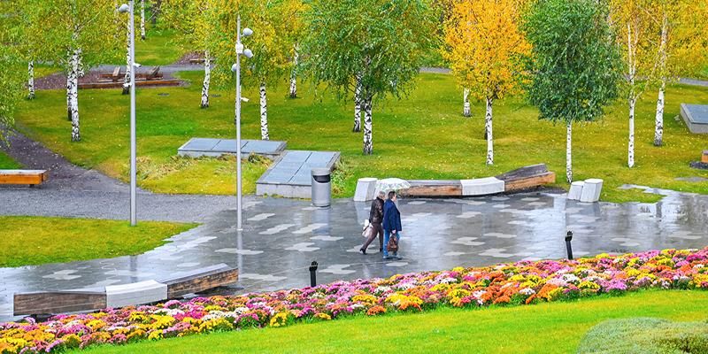 Осень вступает в свои права: погода на ближайшие дни