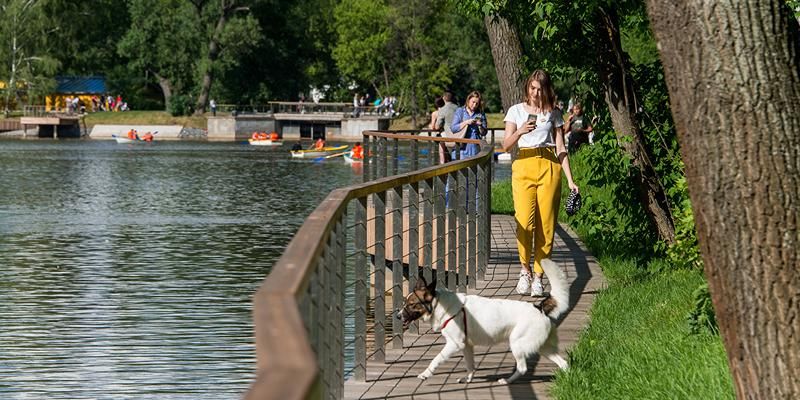 Прогноз погоды в Москве: 4–8 августа — жара и кратковременные дожди