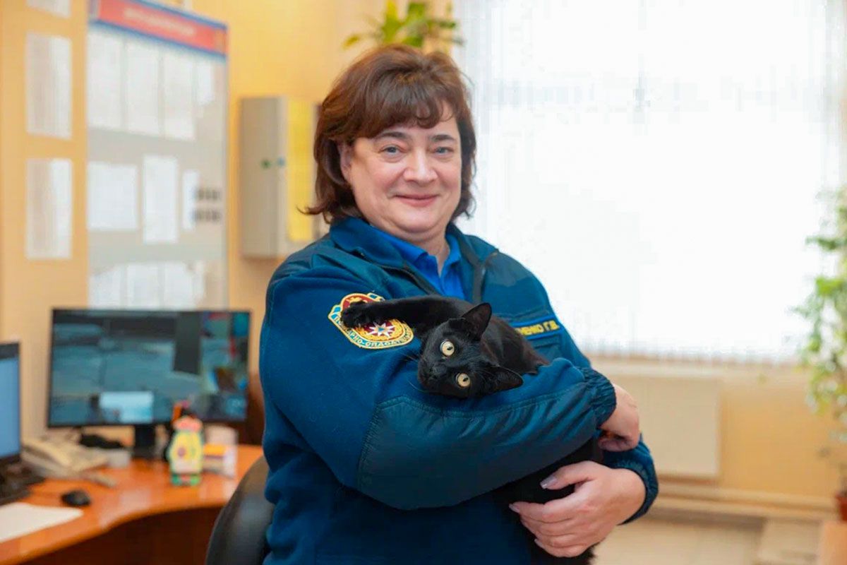 Кошка Багира