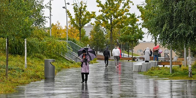 Дожди, снег и ветер: москвичам рассказали о погоде на ближайшие дни