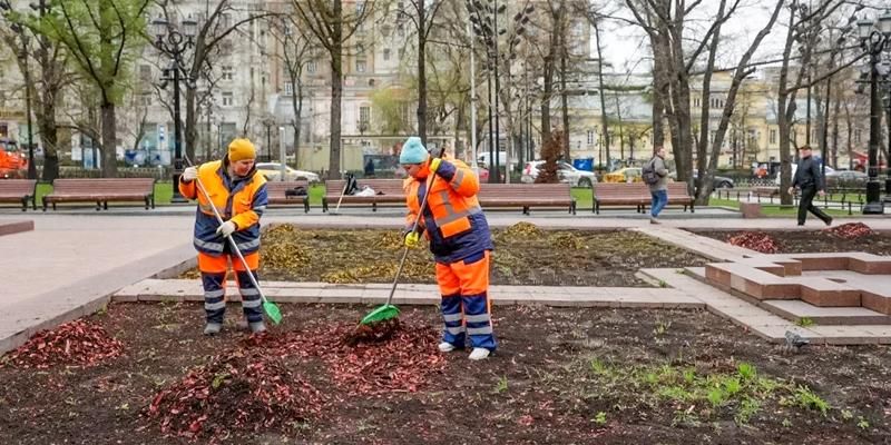 Городские цветники подготовили к весенне-летнему сезону