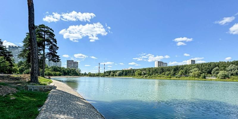 Школьное озеро в Зеленограде приведут в порядок
