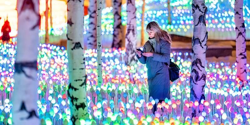 Добрая медведица, сказочные олени и ажурные арки: как украсили парки Москвы