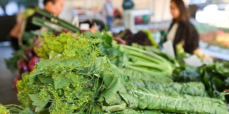Букет зелени: на ярмарках выходного дня продают удобные наборы для домашней консервации