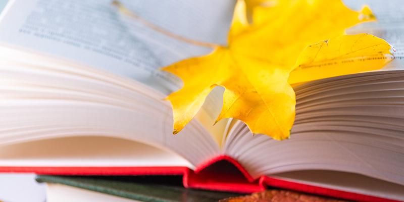 «Энциклопедия сказочного спокойствия» и другие книги. Что почитать с детьми