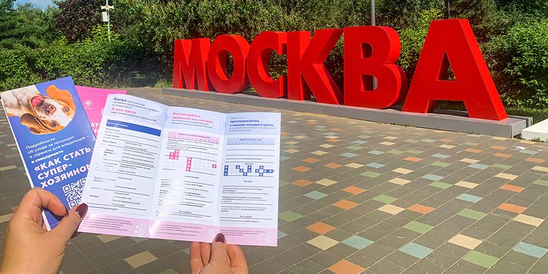 Врачи городских ветклиник разработали удобные памятки для владельцев домашних животных