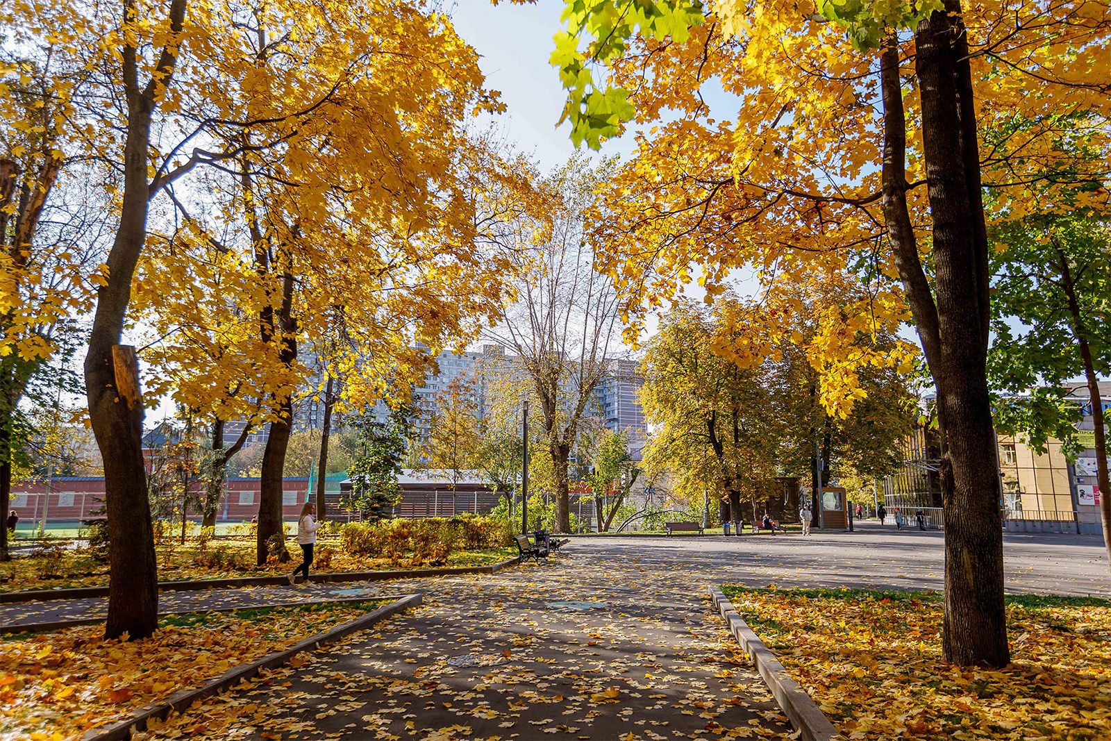 Мистический променад, экскурсии и мастер-классы ждут горожан в парках Москвы в выходные