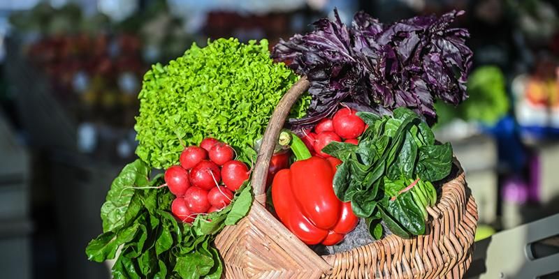 Какие продукты для сбалансированного рациона можно приобрести на московских ярмарках