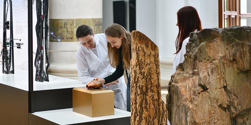 История Москвы и жизнь с точки зрения науки. Выставки для школьников и их родителей в «Мосбилете»