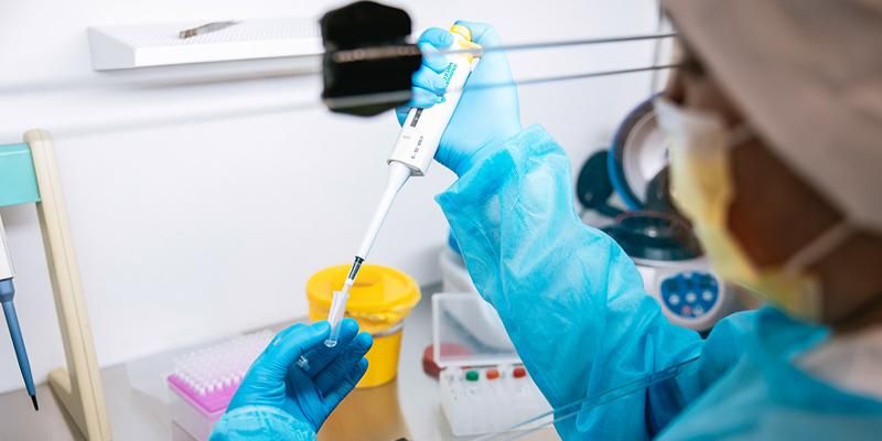 Экспертная комиссия столичного Комитета ветеринарии поможет защитить права владельцев животных
