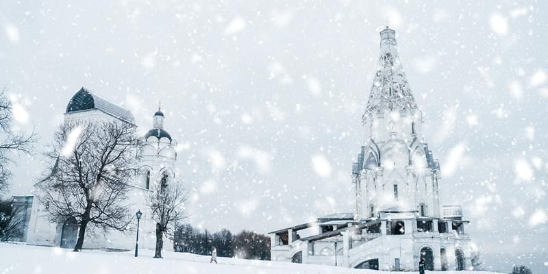 RUSSPASS подскажет, где в Москве понаблюдать за птицами