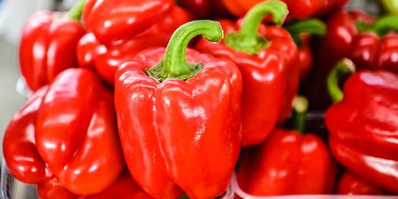 Для гриля, лечо или фаршировки: на московских ярмарках начался сезон сладкого перца