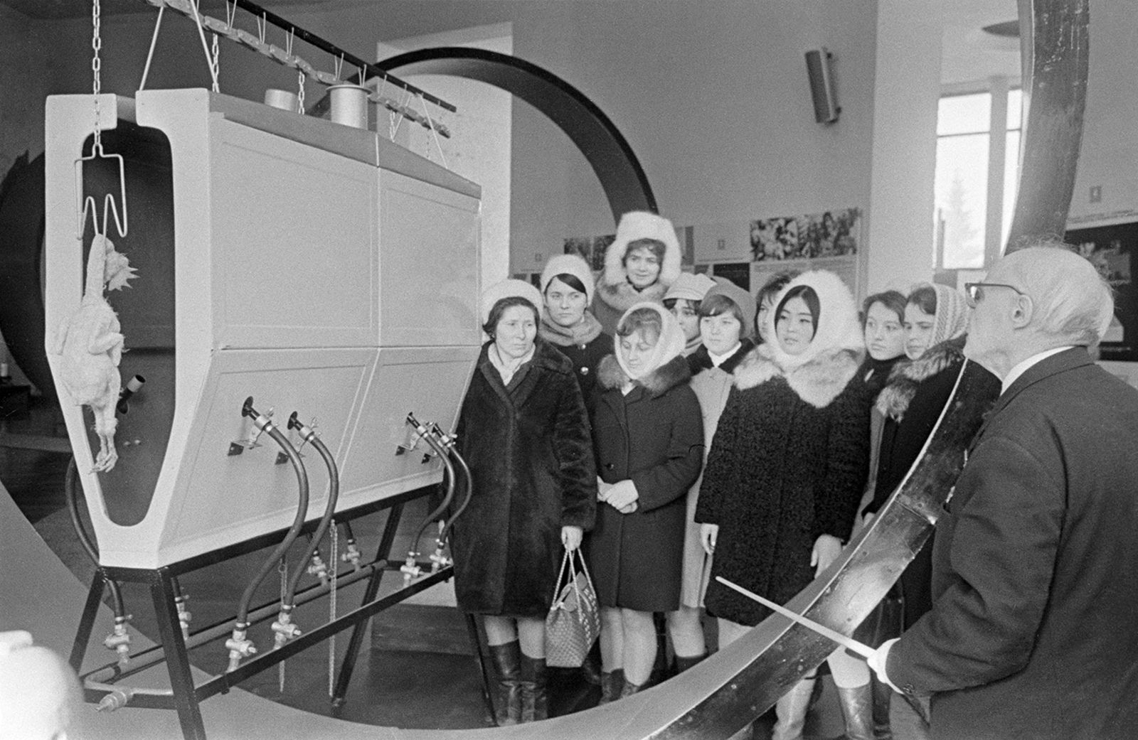Посетители выставки &laquo;Газ в сельском хозяйстве&raquo; на ВДНХ СССР осматривают газовую установку для опаливания тушек птиц, разработанную в объединении &laquo;Союзгазификация&raquo;. Автор &ndash; Н. Кулешов. Москва. 24.03.1972 г. Главархив Москвы