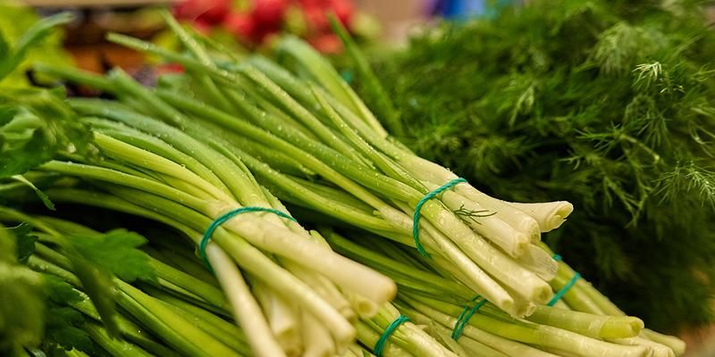 Ростки весны: на ярмарках выходного дня появилась свежая зелень