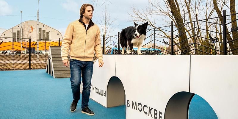 В 2025 году площадки проекта «Питомцы в Москве» открыли в 23 районах столицы