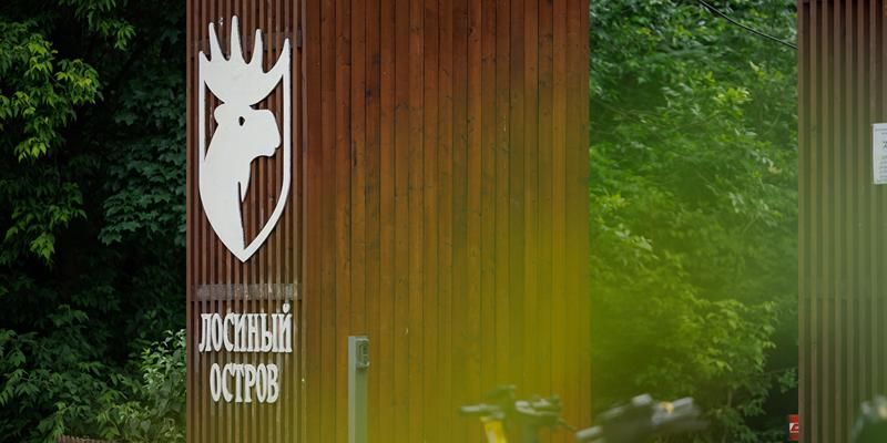 Спорт и экология: в «Лосином Острове» пройдет трейловый забег