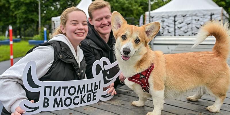 Москвичи предложат инициативы по развитию инфраструктуры для домашних животных на платформе «Город идей»