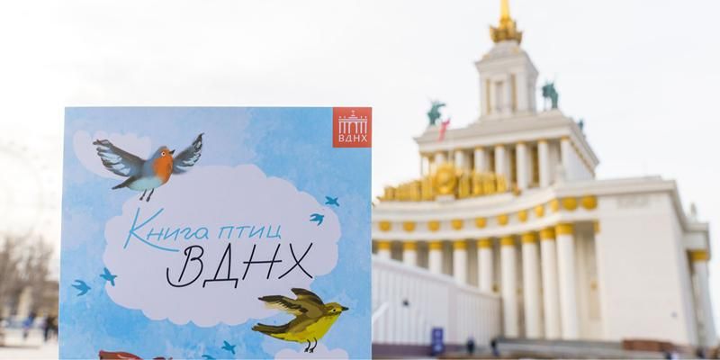Красногрудые снегири и запасливые поползни: каких птиц можно встретить на ВДНХ зимой