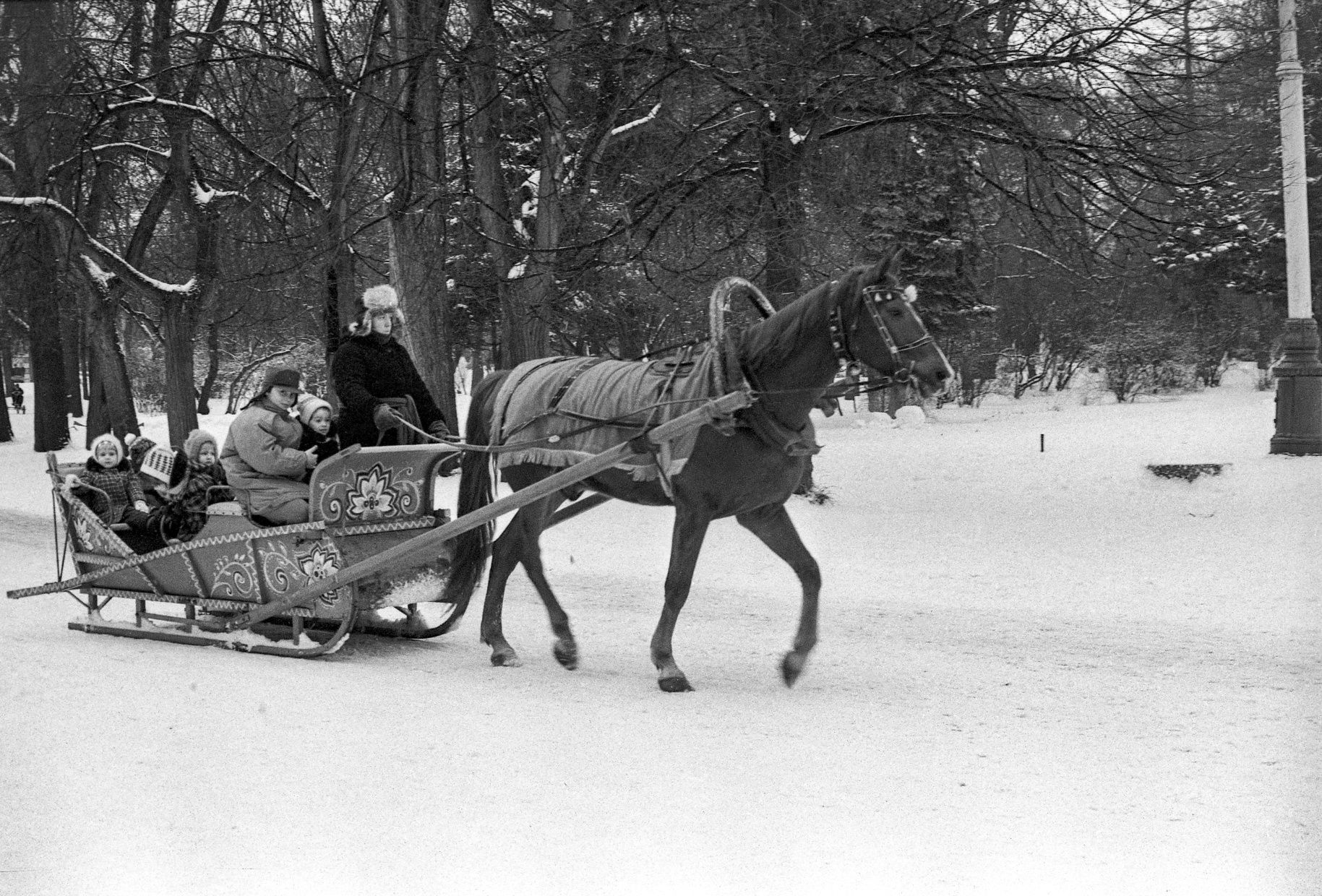 В парке культуры и отдыха «Сокольники». Москва. Январь 1993 г. Фото К. Иванова. Главархив Москвы