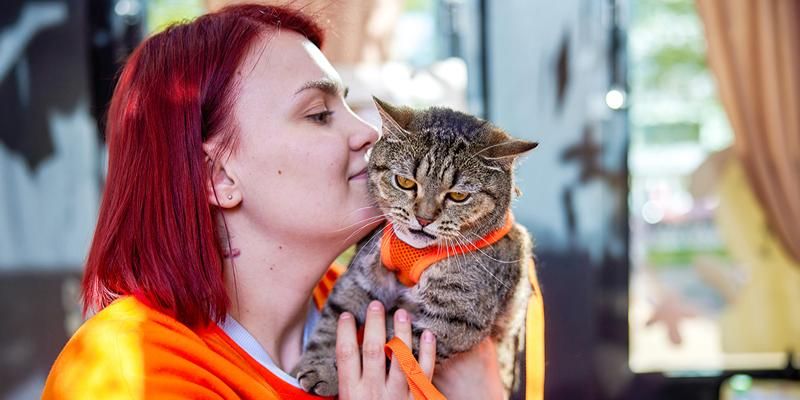 Пять новых НКО подключились к благотворительному сервису на mos.ru с начала 2025 года