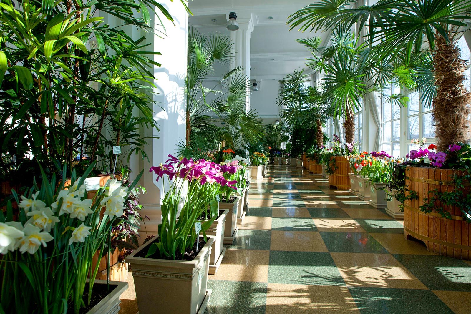 Фото: Игорь Захаров. Mos.ru