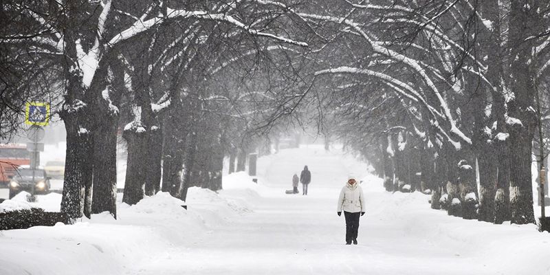 Облачно и снег: какой будет погода в Москве в ближайшие дни