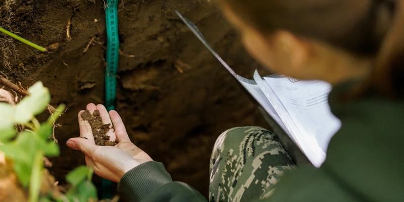 Ученые исследуют биоразнообразие почвы в национальном парке «Лосиный Остров»