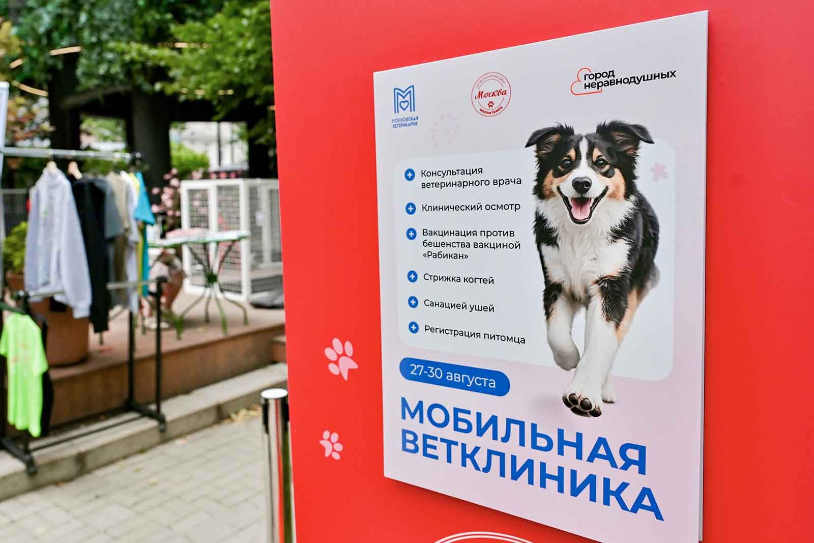 Фото: пресс-служба Департамента торговли и услуг города Москвы
