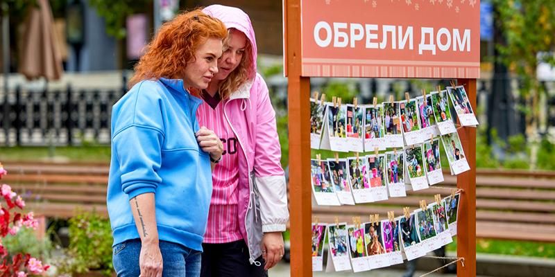 Более 65 кошек и собак нашли новую семью на фестивале «Моспитомец × Четвероногий друг»