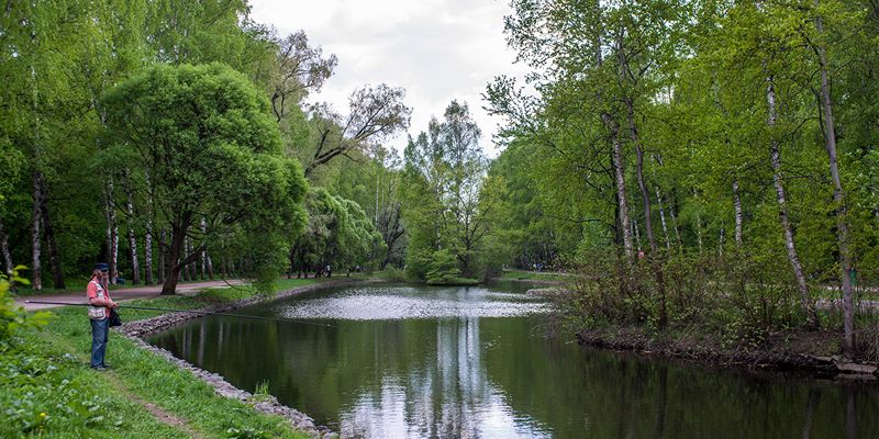 В парке «Сокольники» началась реабилитация пяти Оленьих прудов