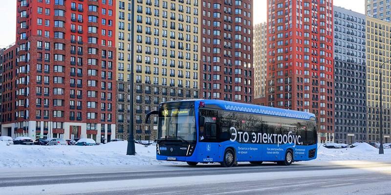 Юные москвичи проверят свои знания о правилах безопасности на дорогах