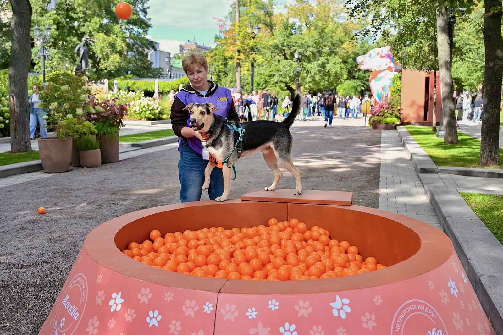 Фото: пресс-служба Департамента торговли и услуг города Москвы