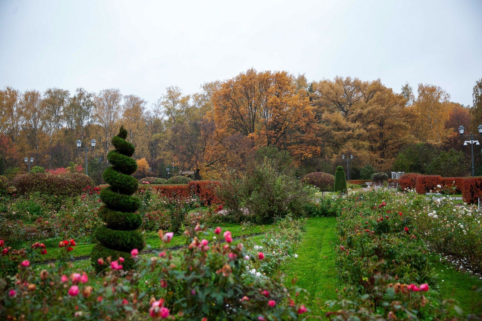 От Кускова до «Коломенского»: пять мест в столичных парках для осенней фотосессии