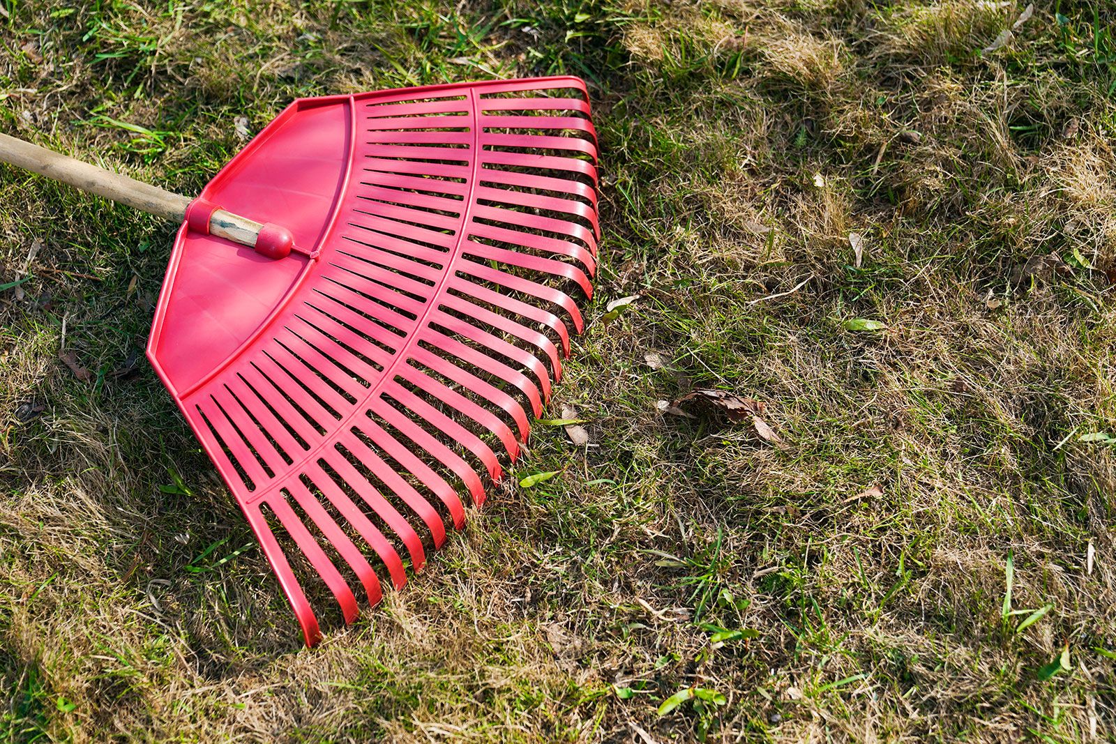 Фото: Евгений Самарин. Mos.ru