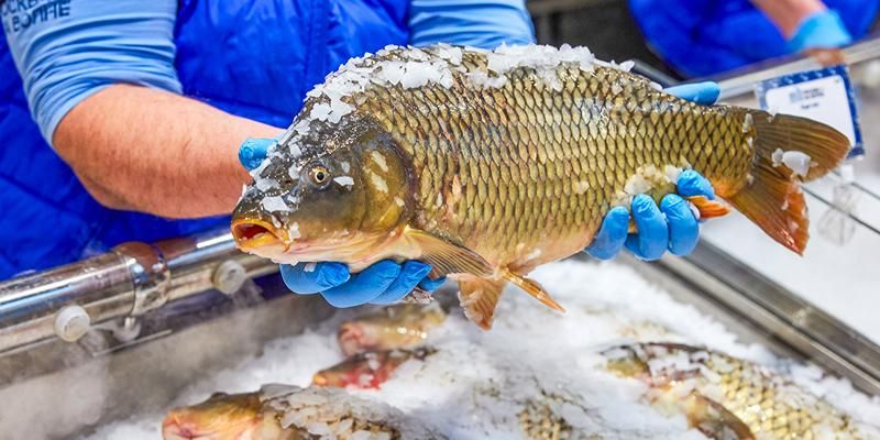 Рыбу и морепродукты с рынков «Москва — на волне» теперь можно заказать на дом