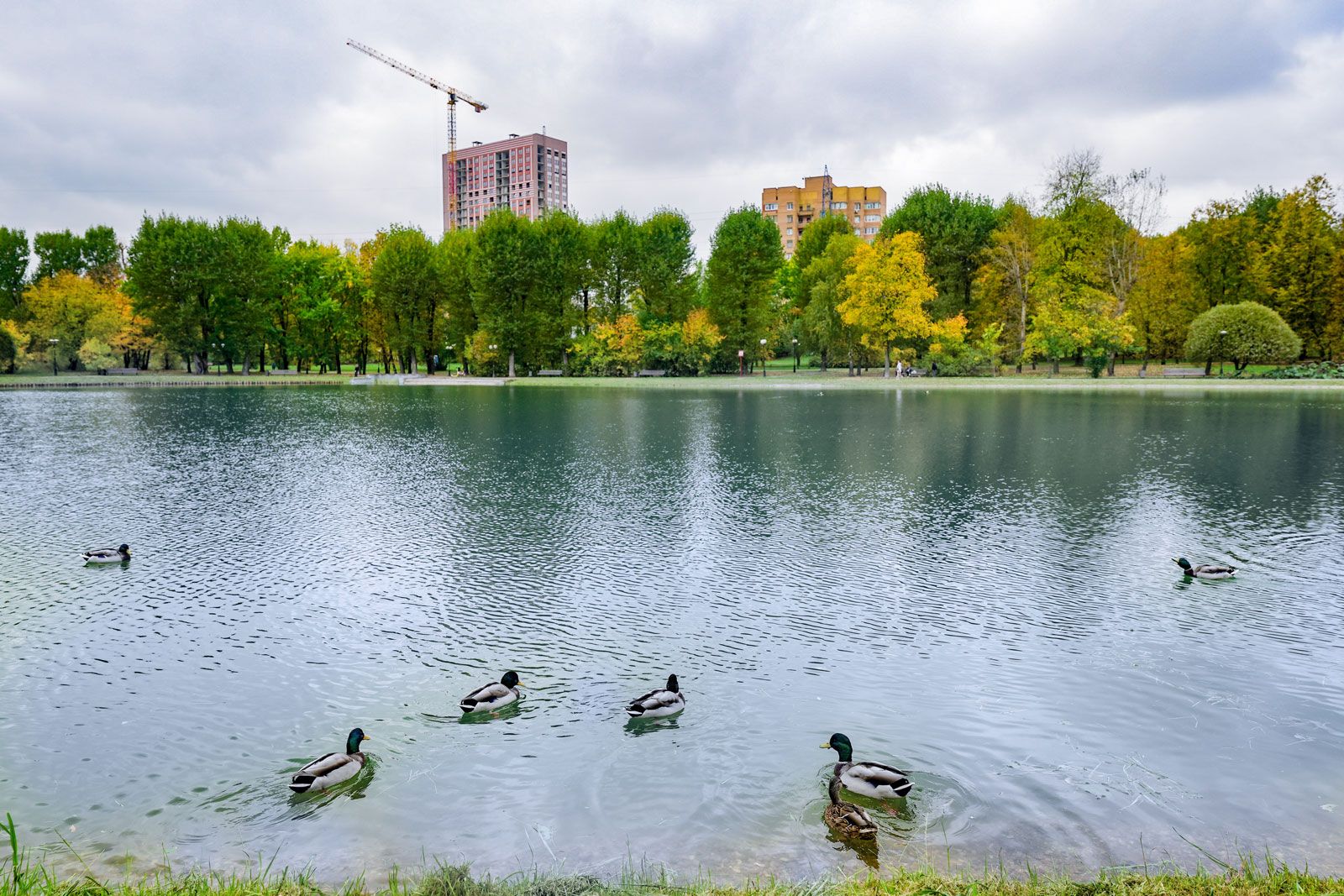 Фото: пресс-служба комплекса городского хозяйства Москвы