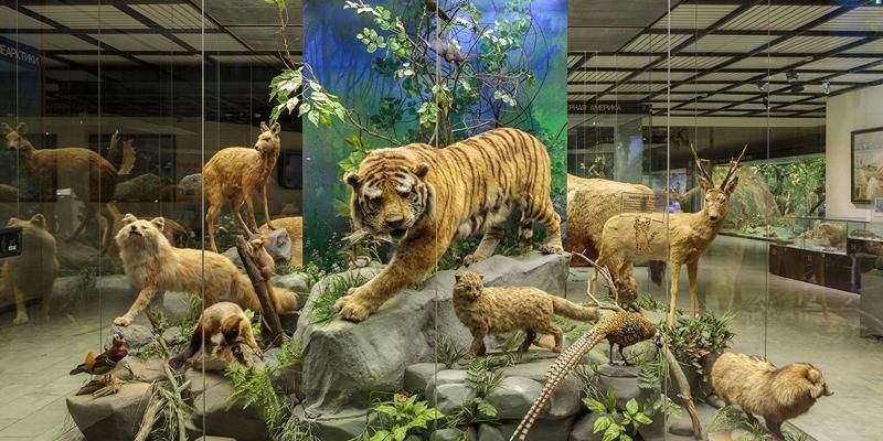 Москвичей приглашают на новые выставки в Дарвиновский музей