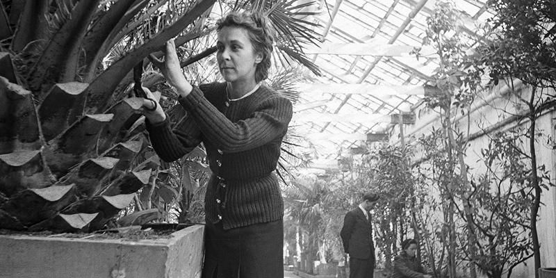 Фотовыставка к юбилею Главного ботанического сада имени Н.В. Цицина откроется на ВДНХ